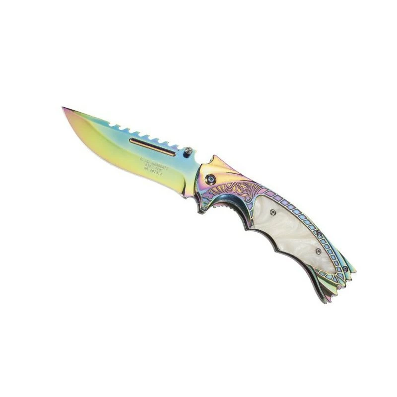 Couteau Herbertz Inox/acrylique Arc-en-ciel - 567312 1 Couteau Herbertz Inox/acrylique Arc-en-ciel - 567312