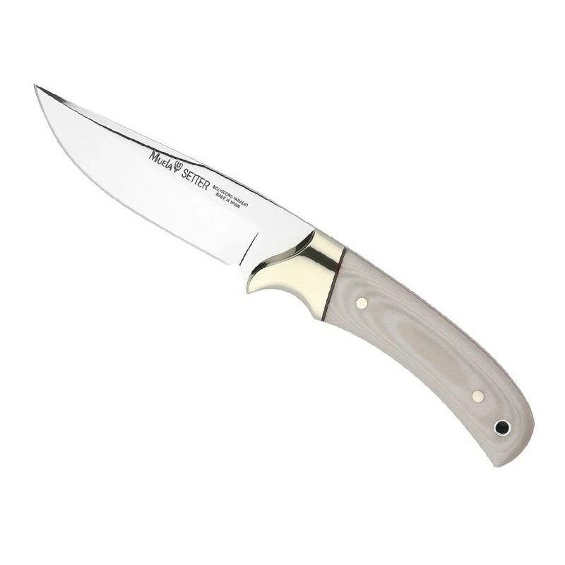 Poignard Muela Setter 11cm Micarta Beige Inox 1 Poignard Muela Setter 11cm Micarta Beige Inox